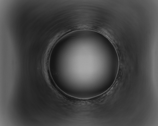 X0000100780193200806191310