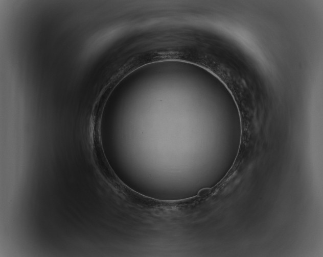 X0000100780194200806191310