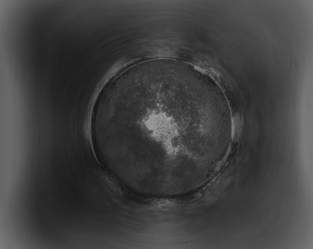 X0000100780195200806191310