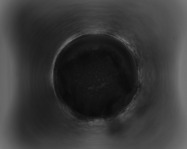 X0000100780196200806191310