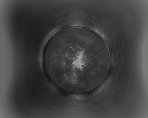 X0000100780199200806191310