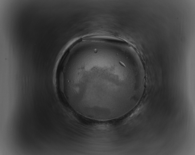 X0000100780200200806191310