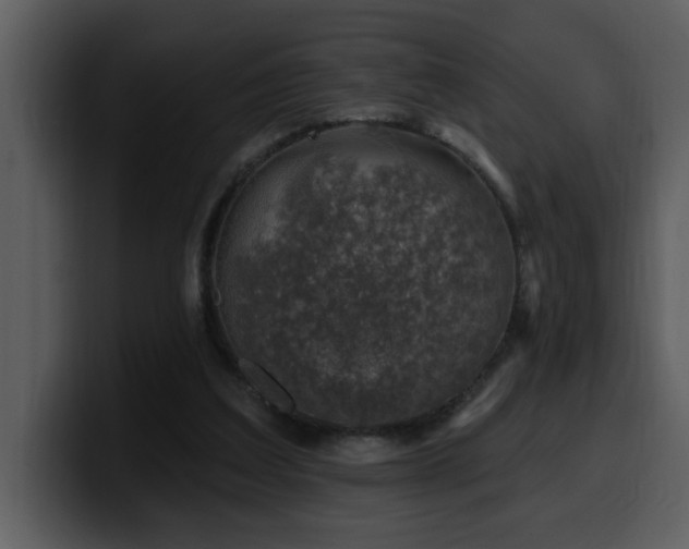 X0000100780203200806191310