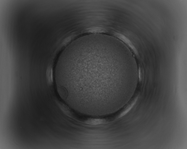 X0000100780205200806191310