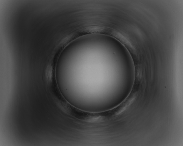 X0000100780206200806191310