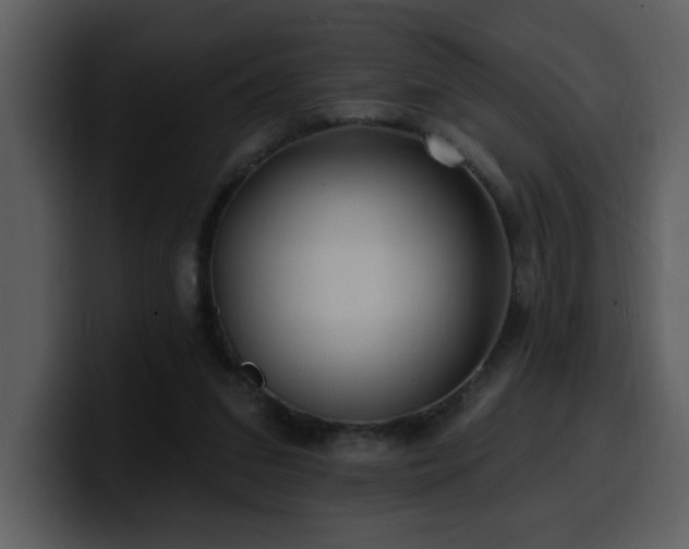 X0000100780207200806191310