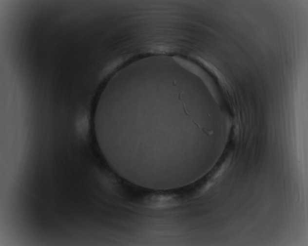 X0000100780208200806191309