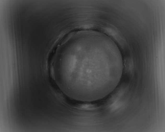 X0000100780212200806191309