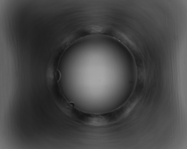 X0000100780215200806191309