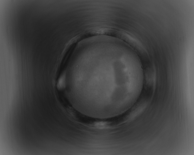 X0000100780216200806191309