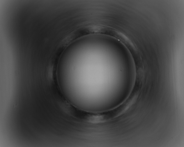 X0000100780217200806191309