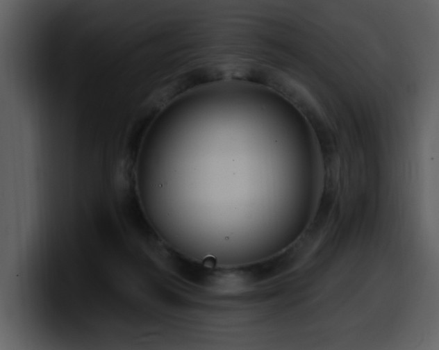 X0000100780218200806191309