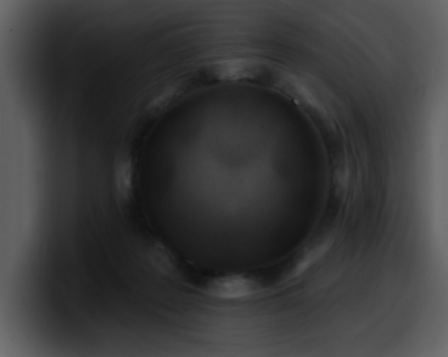 X0000100780219200806191309