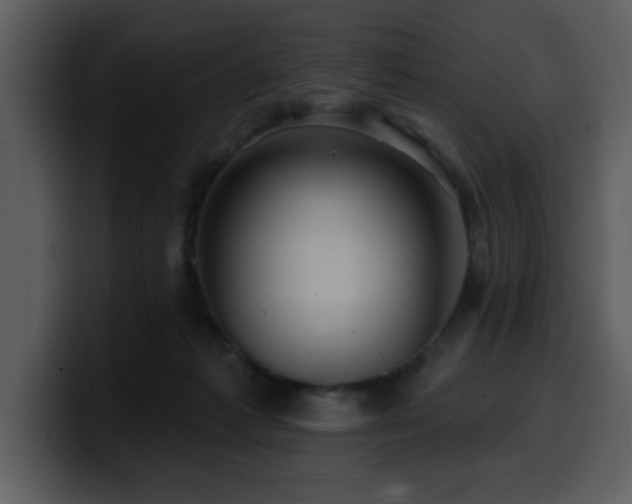 X0000100780221200806191309