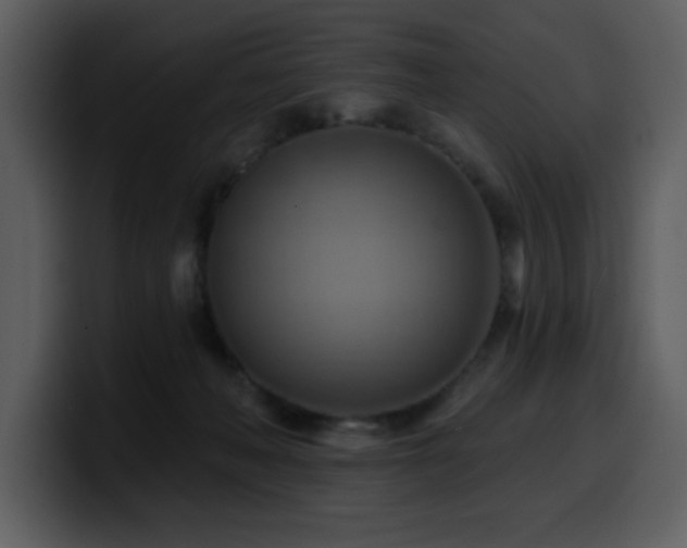 X0000100780222200806191309