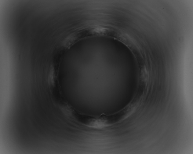 X0000100780223200806191309