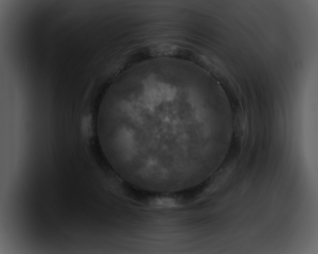 X0000100780224200806191309