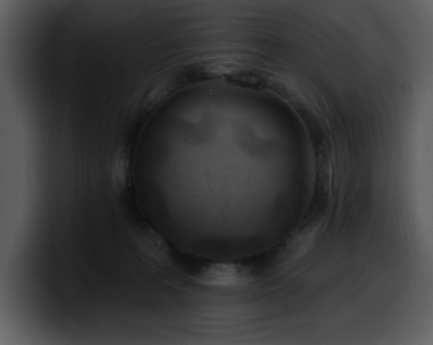 X0000100780227200806191309