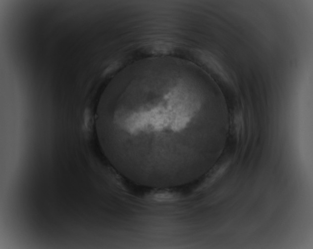 X0000100780228200806191309