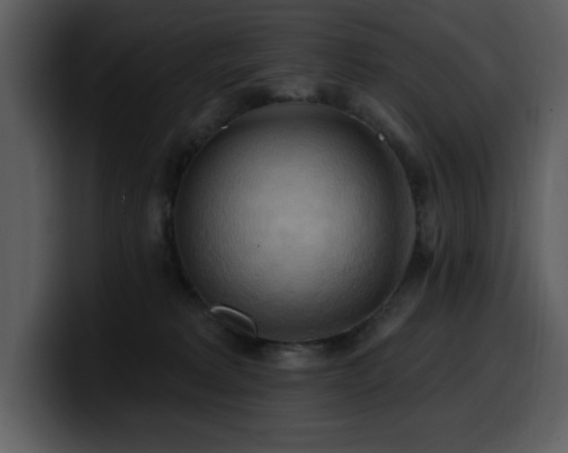 X0000100780229200806191309