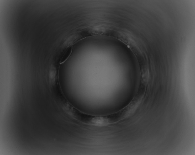 X0000100780231200806191309