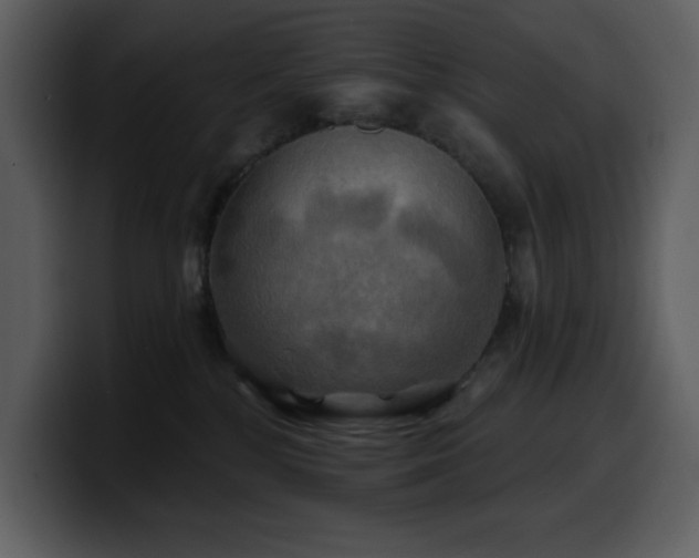 X0000100780232200806191309