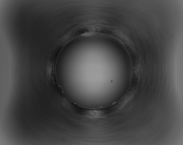 X0000100780233200806191309