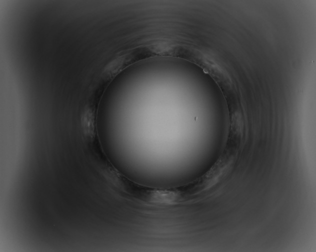 X0000100780234200806191309