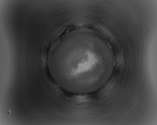 X0000100780236200806191309