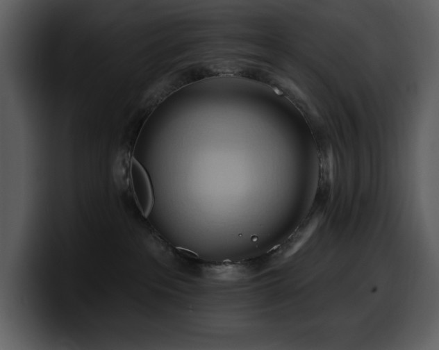 X0000100780237200806191309