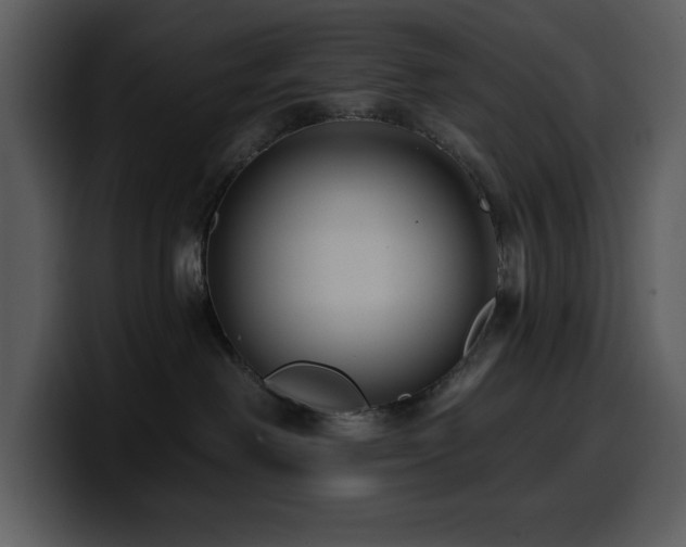 X0000100780238200806191309