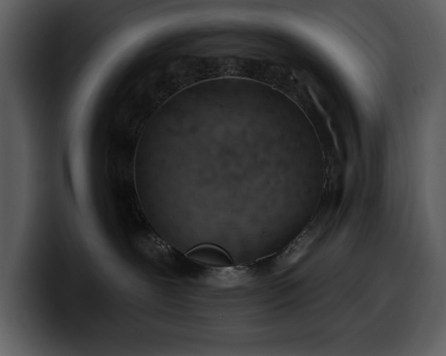 X0000100780239200806191309