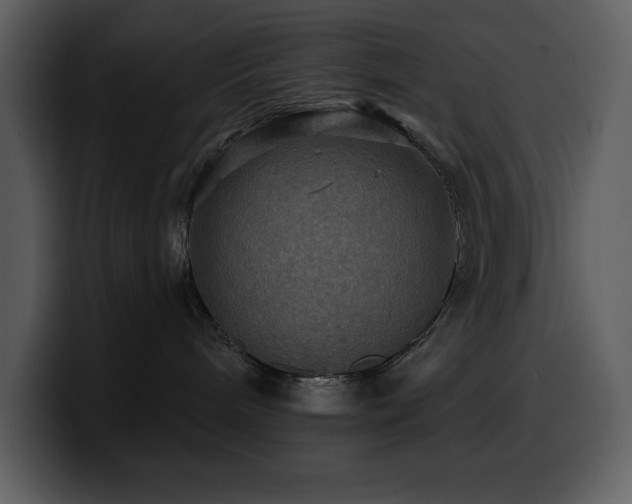 X0000100780240200806191309