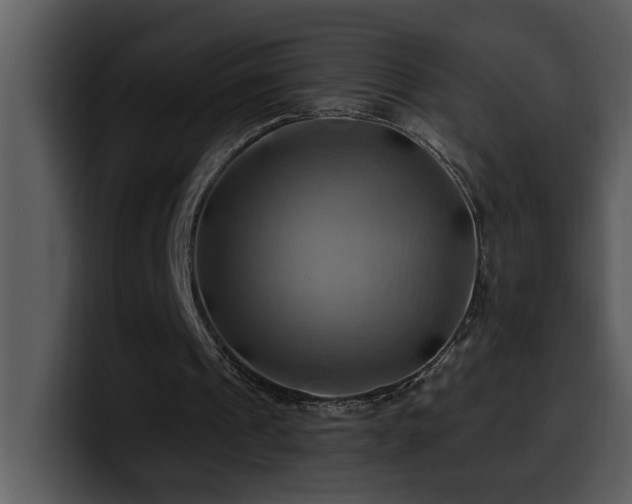 X0000100780241200806191308