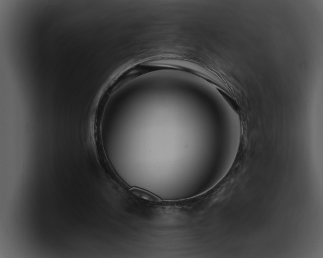 X0000100780244200806191308