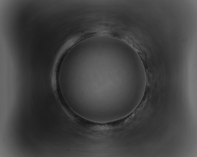 X0000100780245200806191308