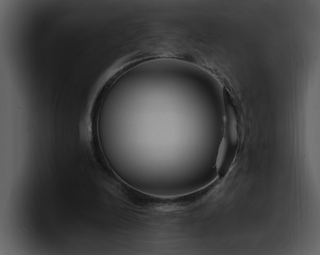 X0000100780246200806191308