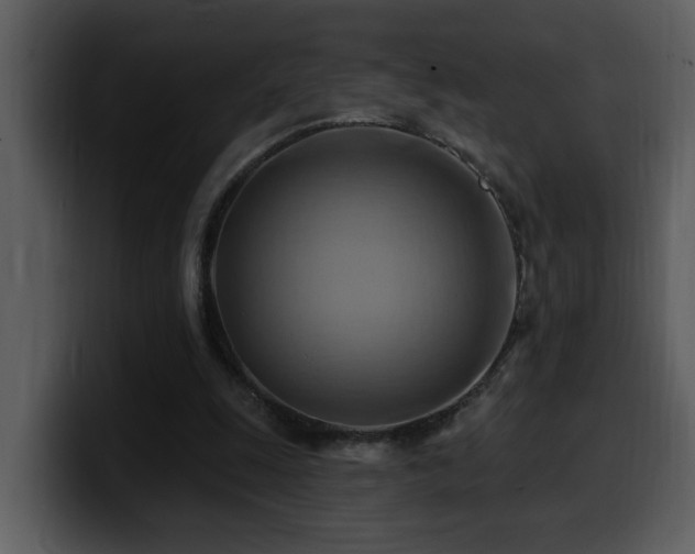 X0000100780247200806191308