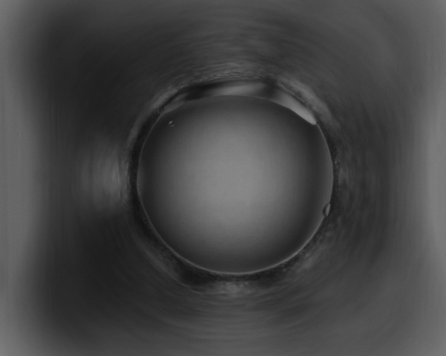 X0000100780250200806191308