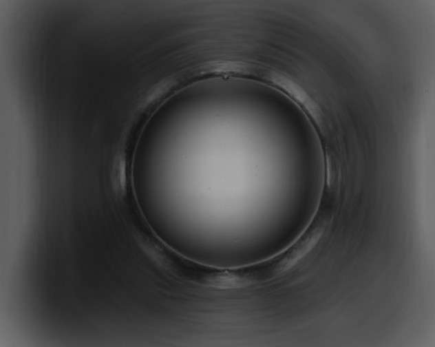 X0000100780253200806191308