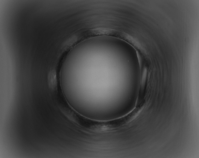 X0000100780254200806191308