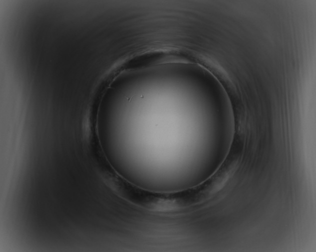 X0000100780256200806191309