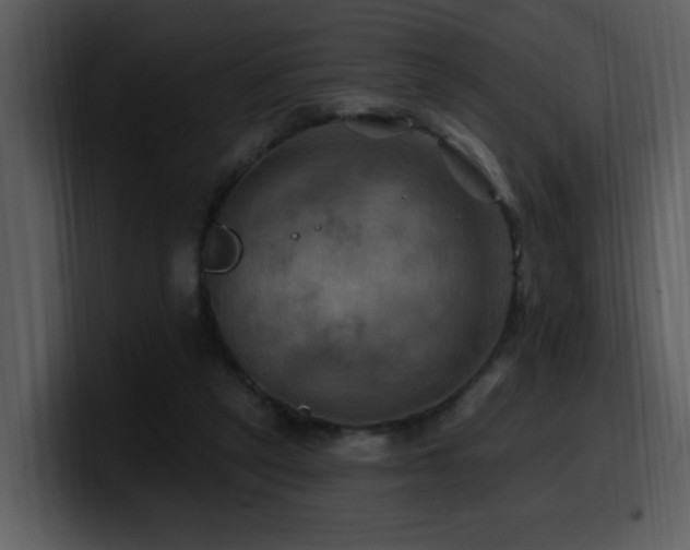 X0000100780257200806191309