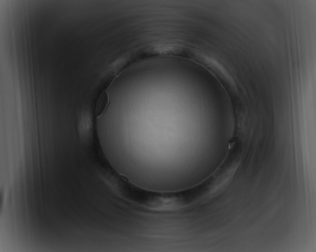 X0000100780260200806191309