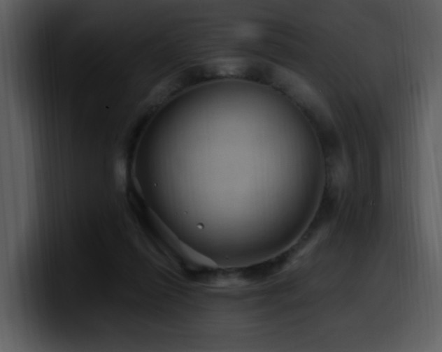 X0000100780262200806191309