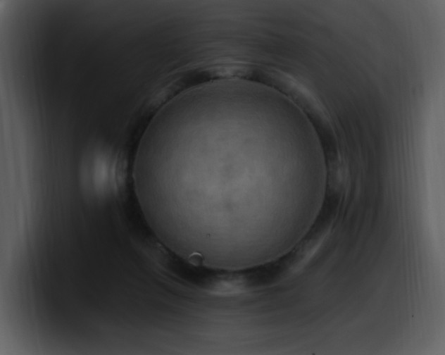 X0000100780263200806191309