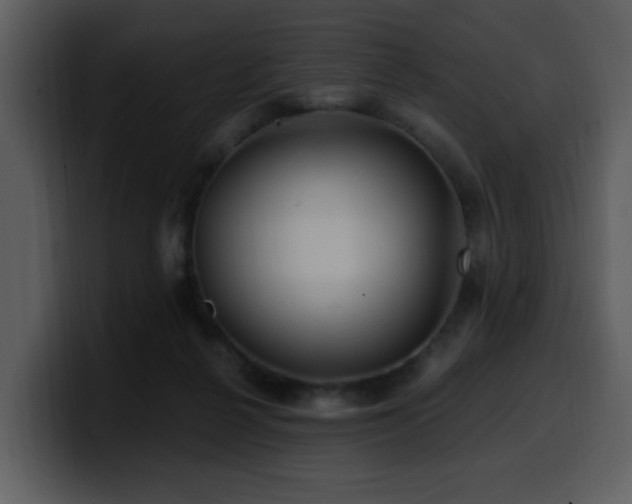 X0000100780264200806191309