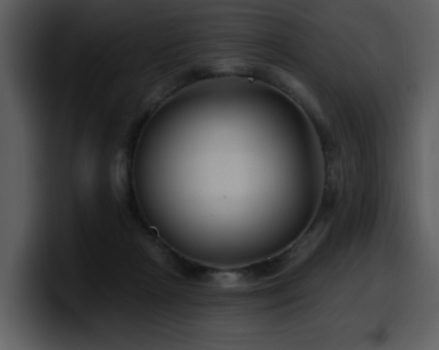 X0000100780265200806191309