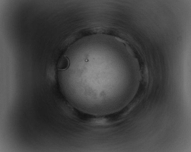 X0000100780266200806191309