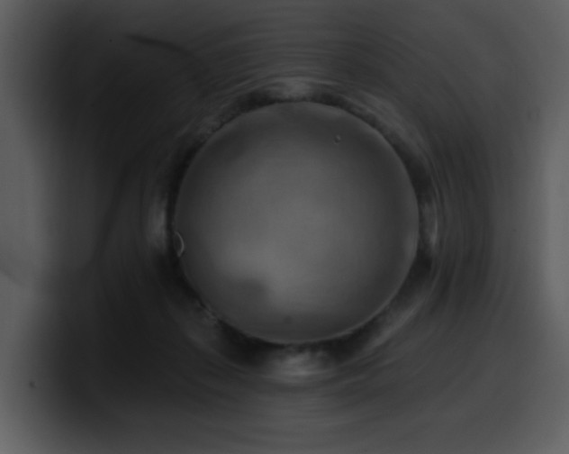 X0000100780267200806191309